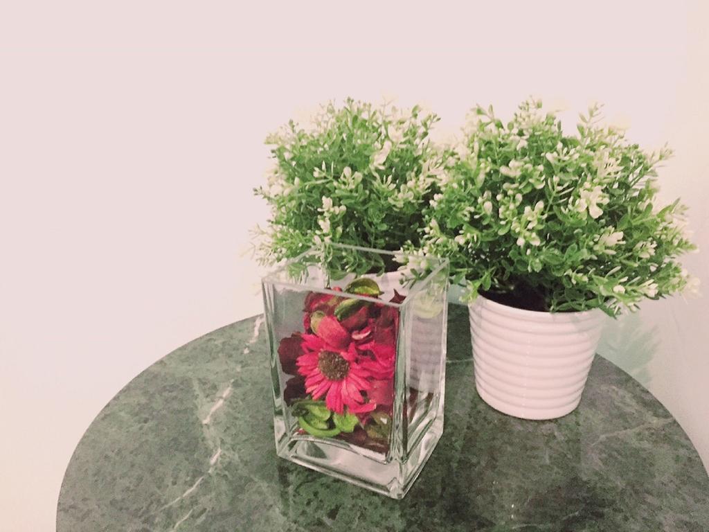 Fengchia Bichon B&B 타이중 외부 사진